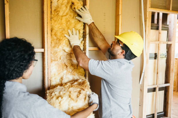 Best Garage Insulation Installation  in Eaton, OH