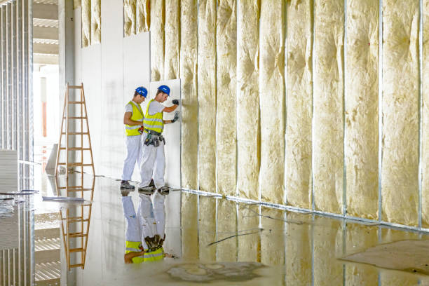 Best Best Insulation Companies  in Eaton, OH